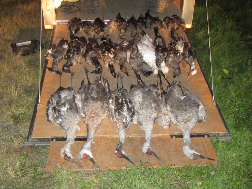Good haul.