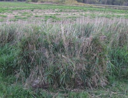 Panel Blind Flip Tops - Shadow Grass Blades