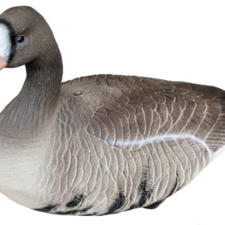 Specklebelly Life size decoy-6 Pack