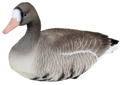Speck goose rester
