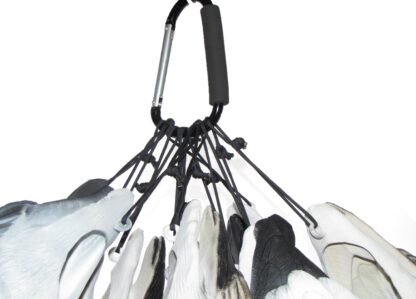 Tail loops w carabiner