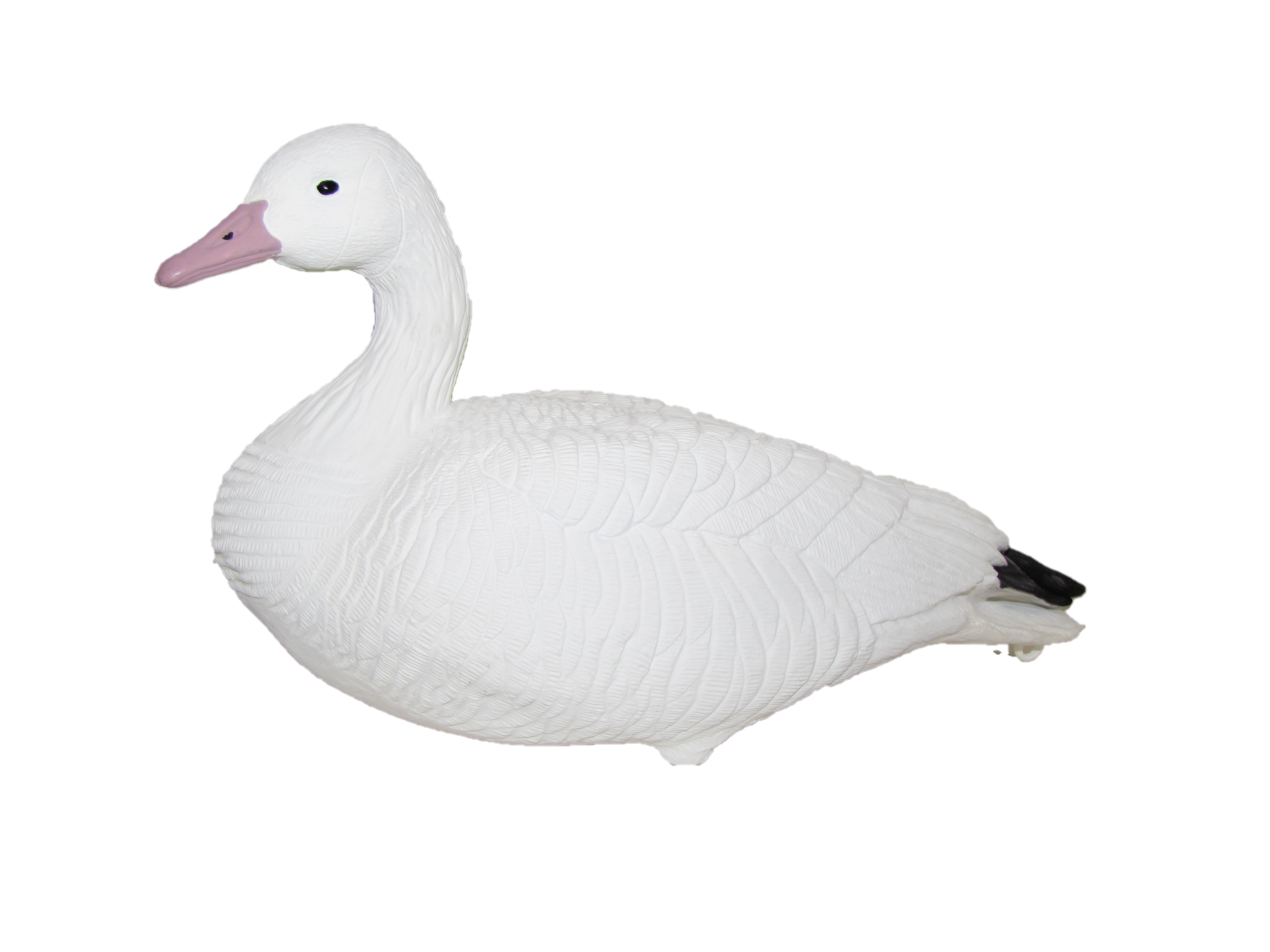 Snow Goose Life size-per Dozen – Heavy Hauler Outdoor Gear
