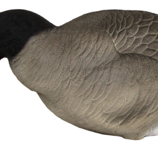 Big Honker Full size Canada goose Feeder pack Flocked Head