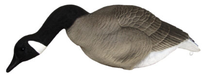 big honker feeder--2