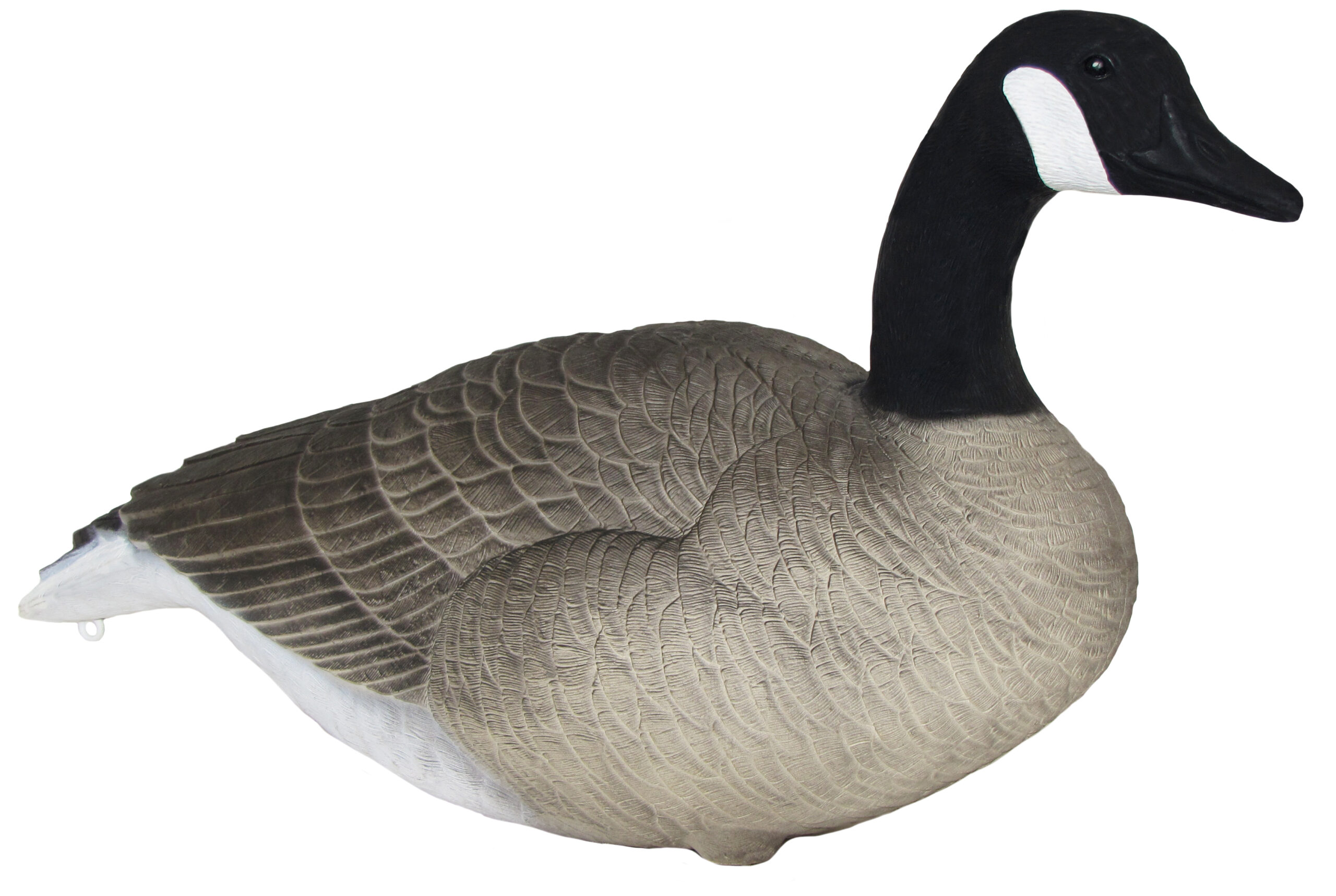 Big Honker Full size Canada goose Painted Head or Flocked Head