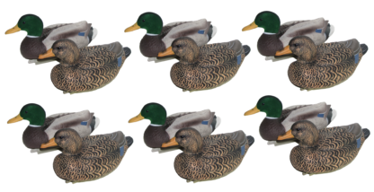 12 pack resize