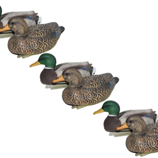 MAYHEM MALLARD PAINTED--6 PACK